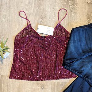 2/$10 Sparkle Dark Pink Crop | Zara